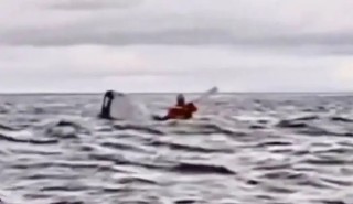 Father records moment whale swallowed his son then spat him back out (video)