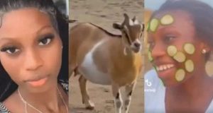 Lady shows how she chased landlord’s goat in public for eating her loaf of bread