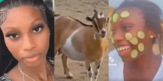 Lady shows how she chased landlord’s goat in public for eating her loaf of bread