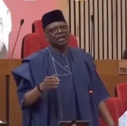 Drama in the Senate as Senator finds it difficult to to define the word ‘Harmonize’ (video)