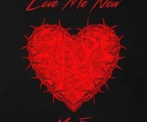 Mr Eazi – Love Me Now (Stream & Download)