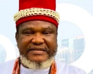 Ugezu J. Ugezu warns Nigerians who plan to ‘japa’ as he recounts how doctor turned butcher after selling his clinic to relocate abroad