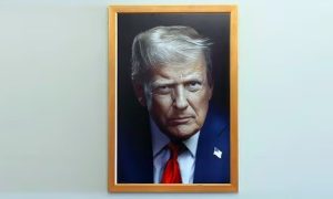 White House releases new official Trump portrait