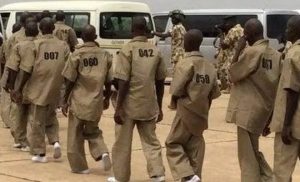 Over 300 Repentant Terrorists Undergoing Rehabilitation – FG